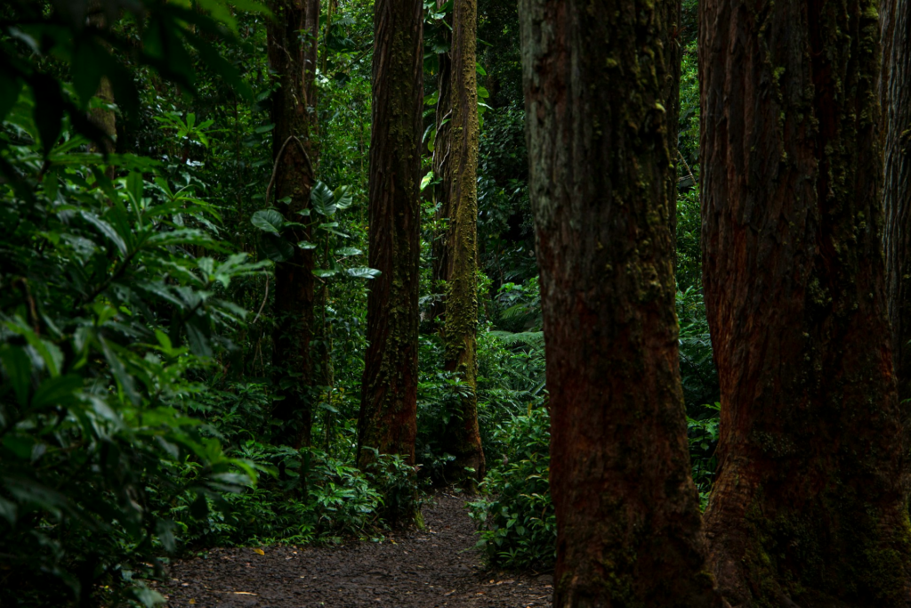 10 Must-See Hiking Trails On Oahu