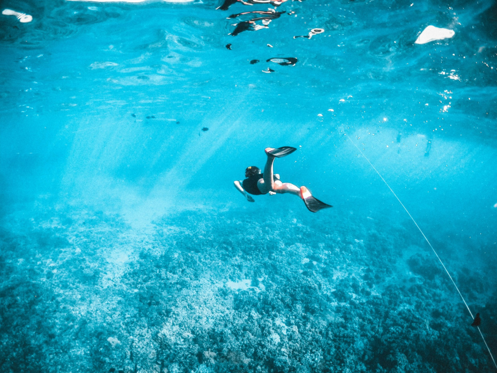 Best Snorkeling In Maui