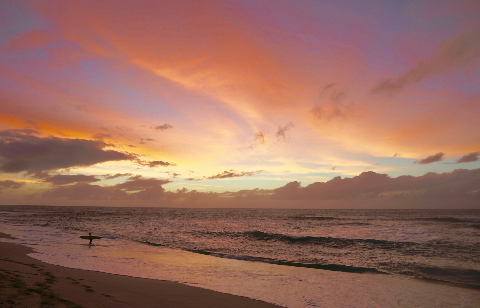 Explore the North Shore
