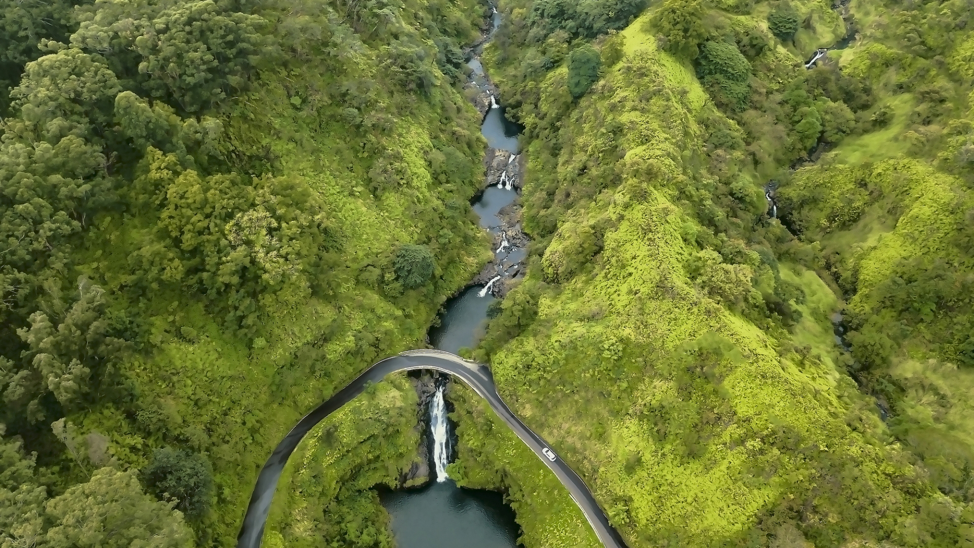 Makapipi Falls - Maui