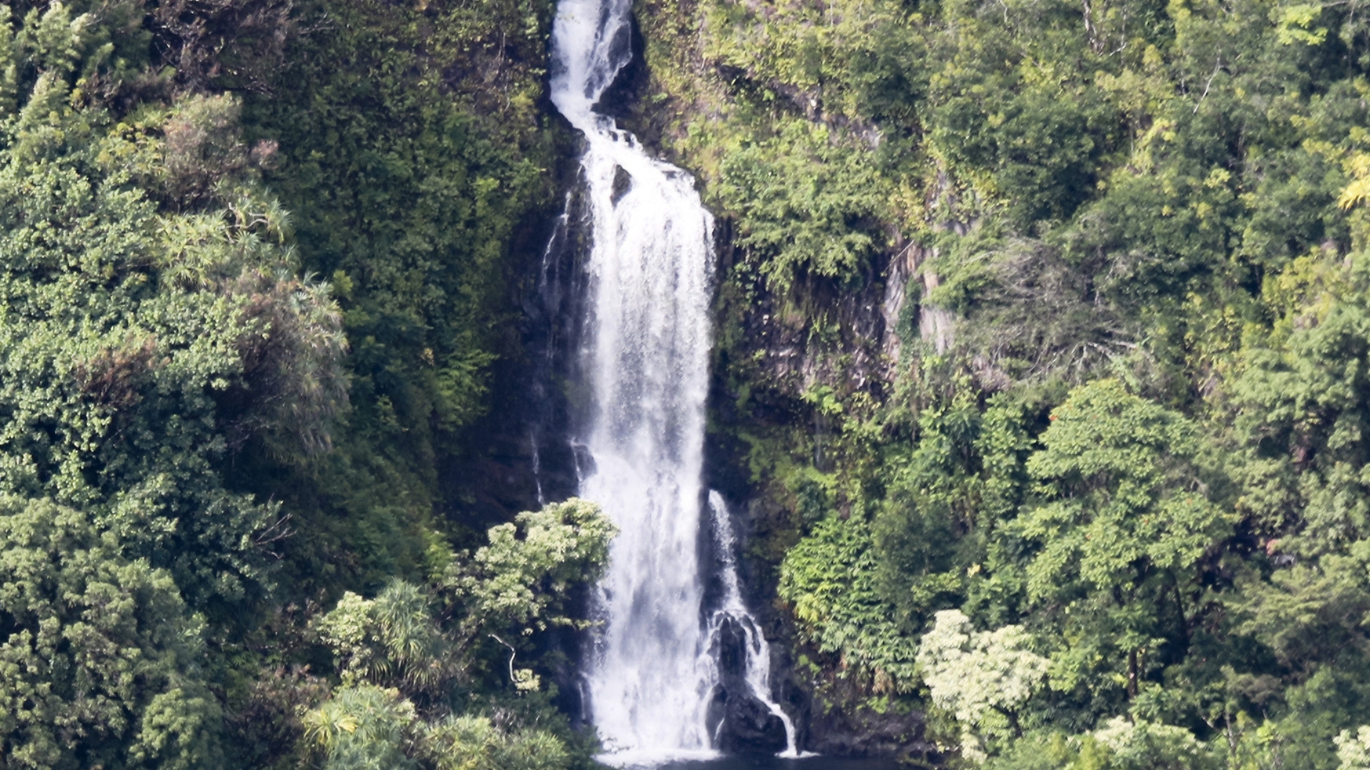 Paihi Falls