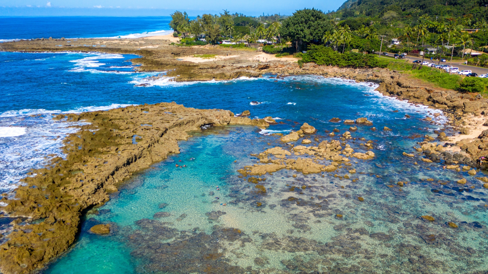 Shark's Cove