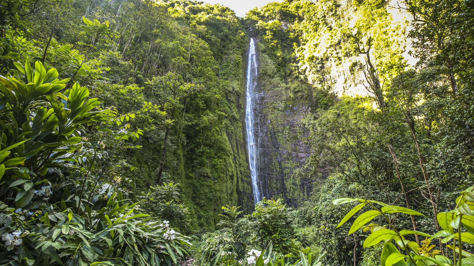 Waimoku Falls - Haleakalā National Park Waterfalls