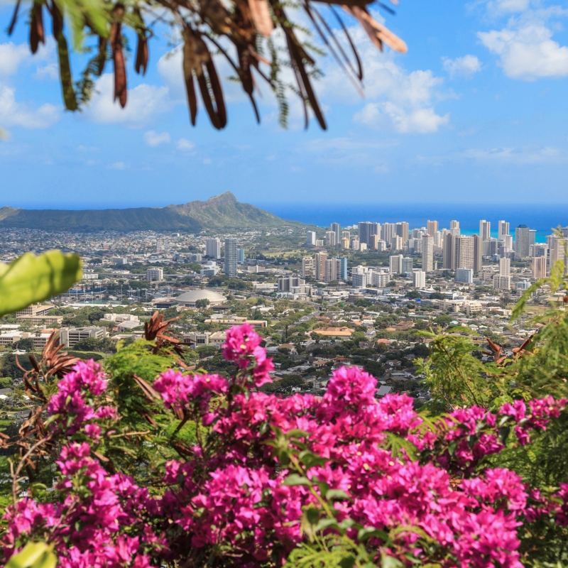 Explore Oahu Travel Guide