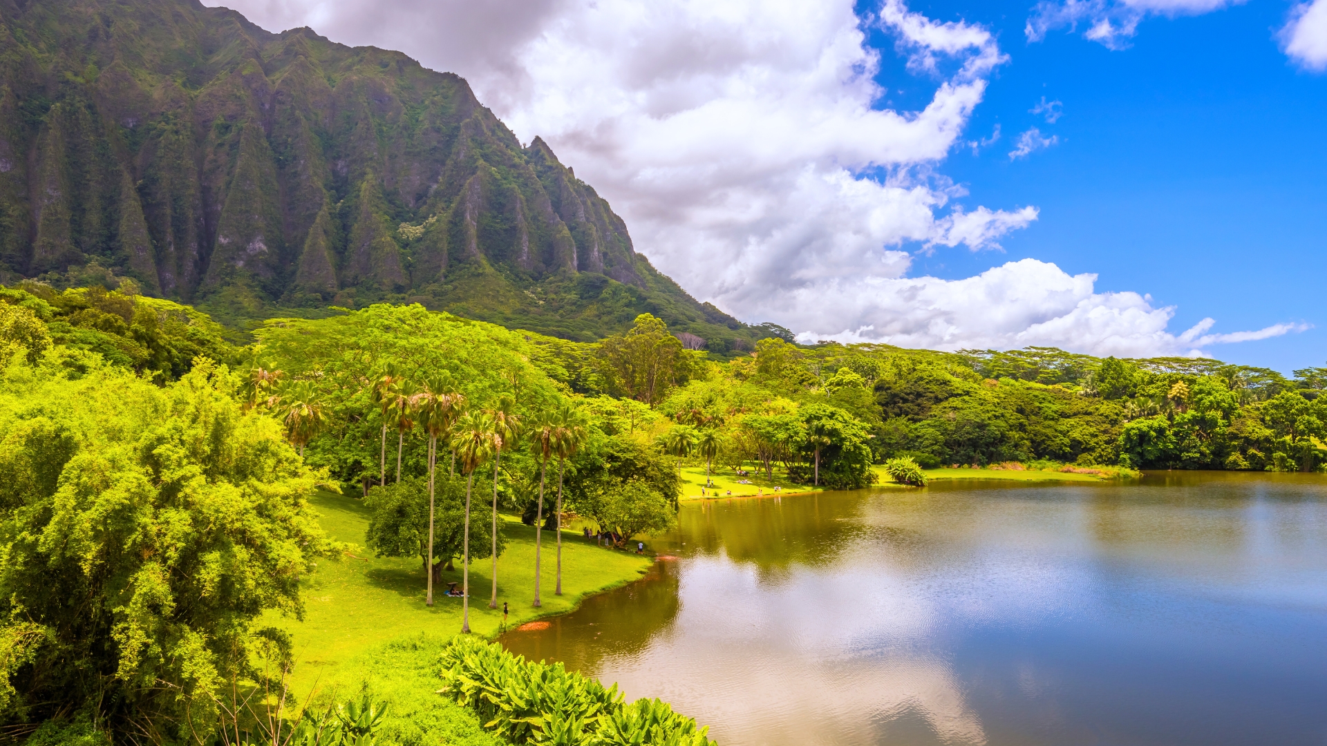 Hoomaluhia Botanical Garden in Kaneohe