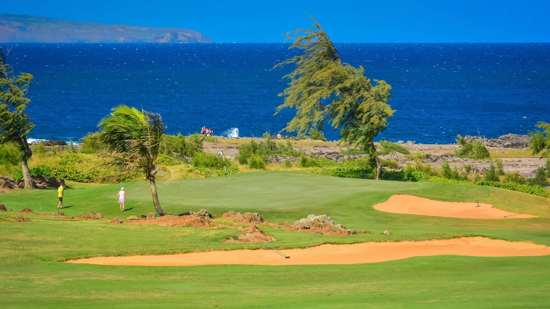 Kapalua Golf Course - Ocean View Golfing Hawaii