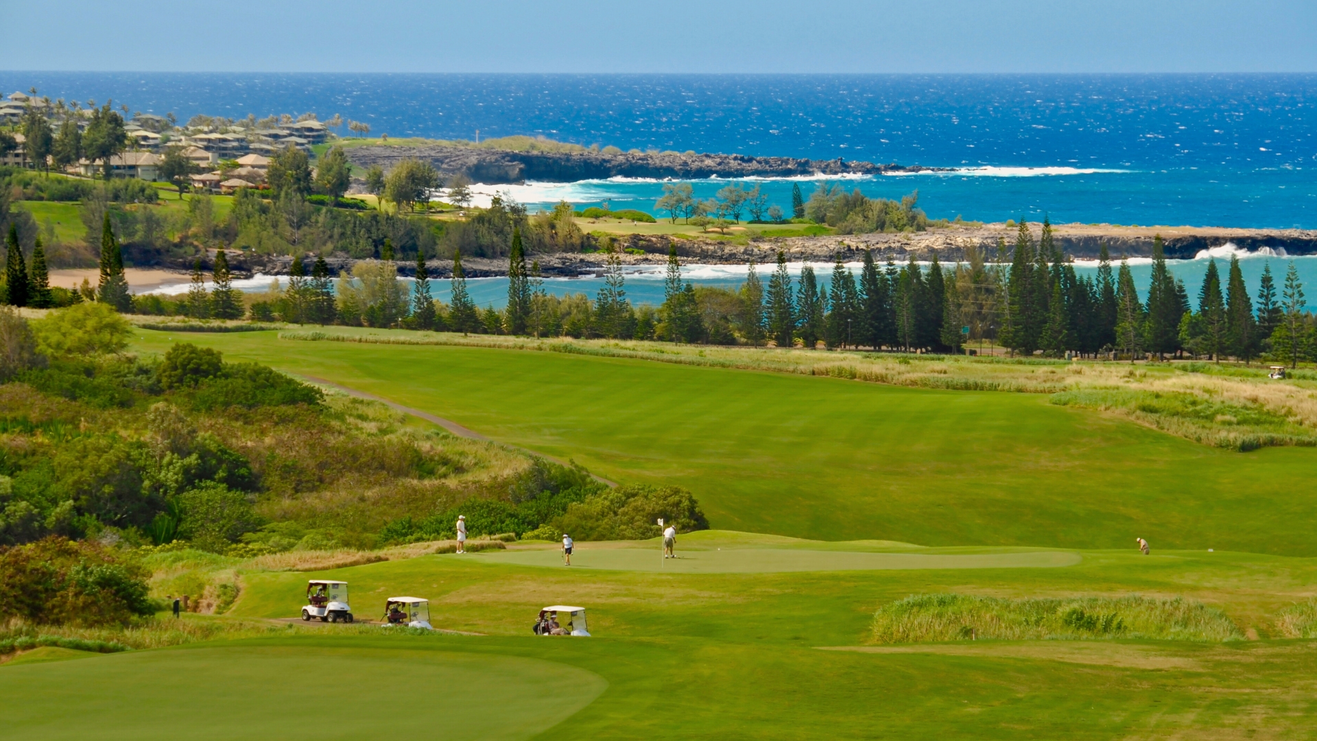 Maui Golfing