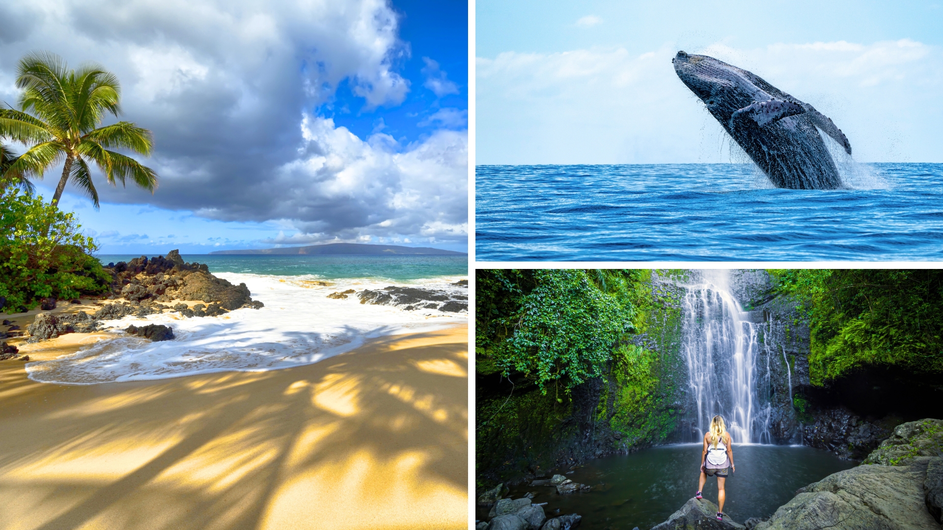 Maui Insider Tips - Secret Beach - Whale Watching - Waterfalls