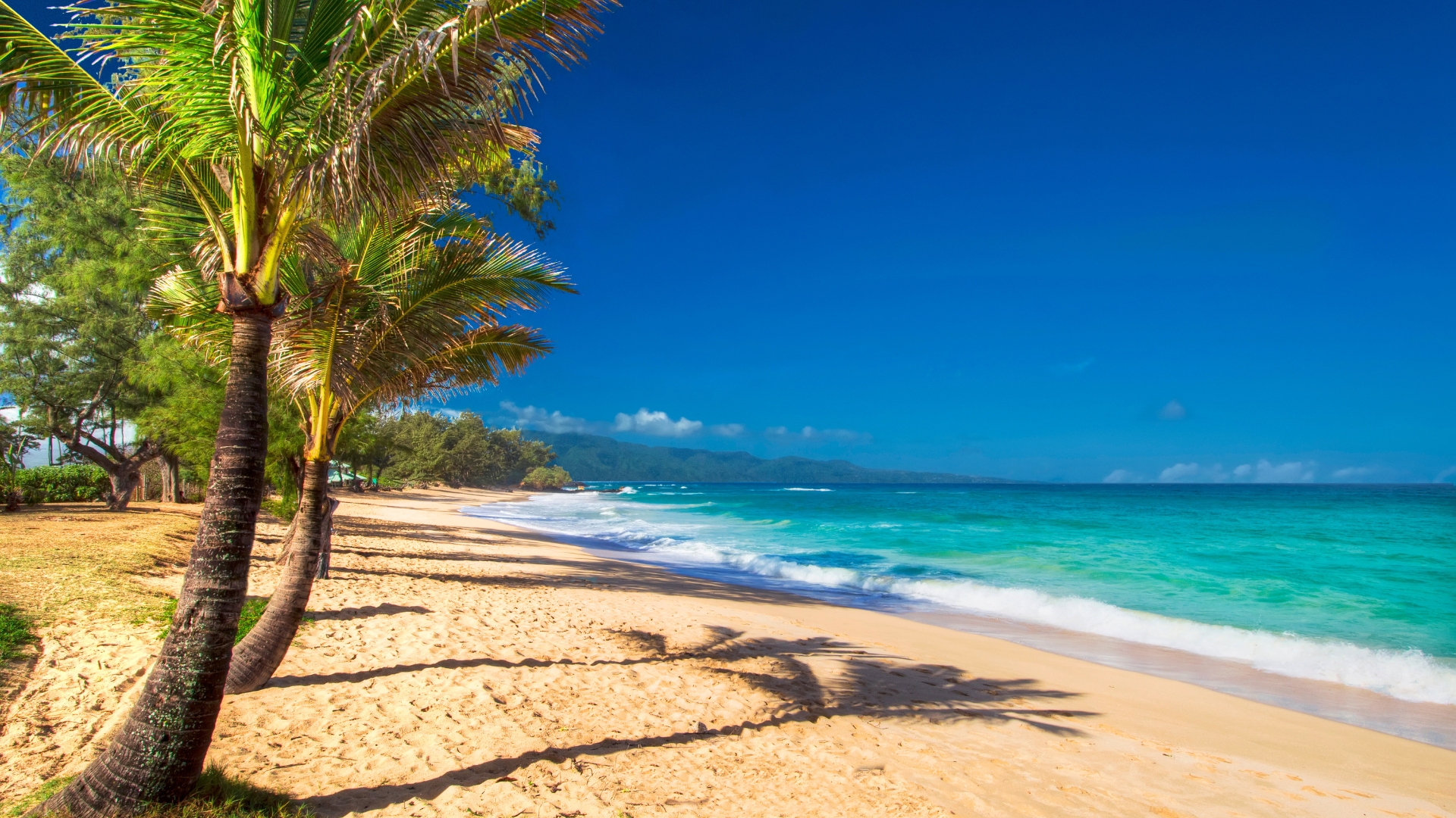 Paia Bay Beach