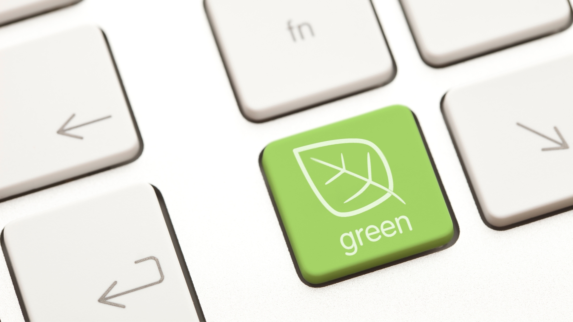 Eco-Friendly Travel is Here