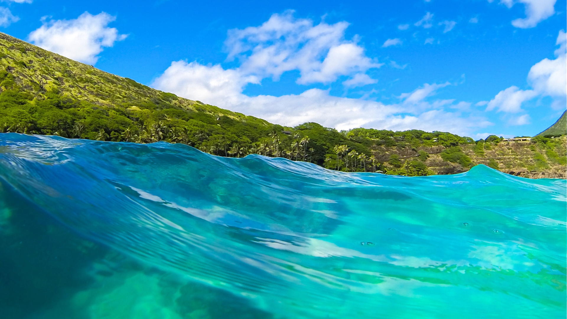 Hanauma Bay from Water